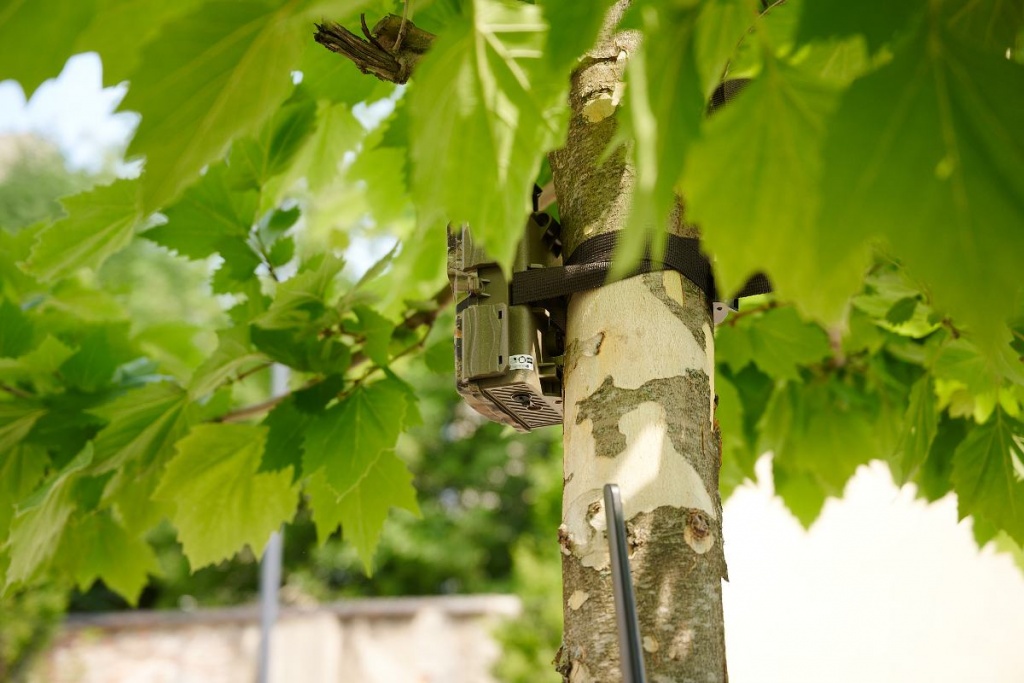 Śmieci Łódź. Łodzianie chcą czystego miasta. Zadbać o to ma straż miejska wyposażona w nową „broń” (fot. www.lodz.pl)