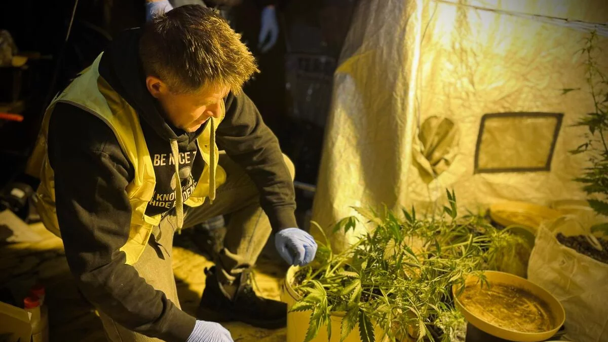 Niezwykłe znalezisko w Śródmieściu. Zdradził je... zapach [FOTO]