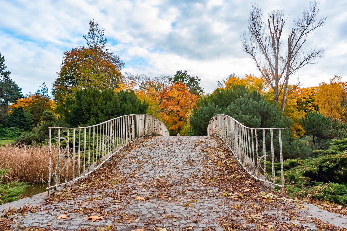 Park Poniatowskiego w Łodzi zachwycił nas jesienią. 