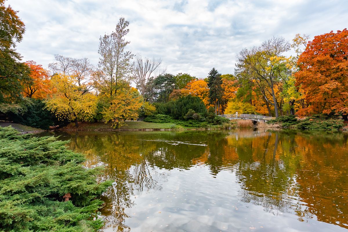 Park Poniatowskiego w Łodzi zachwycił nas jesienią. 