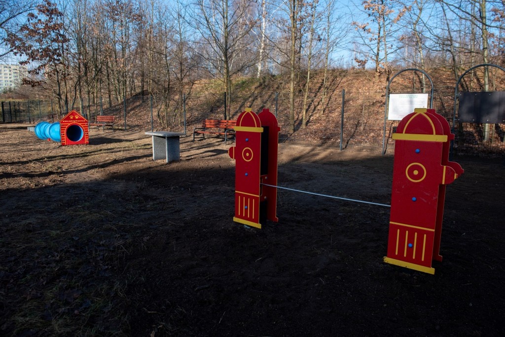 Psi park powstał na Widzewie. Inwestycja za niemal 100 tys. zł [ZDJĘCIA] - Zdjęcie główne