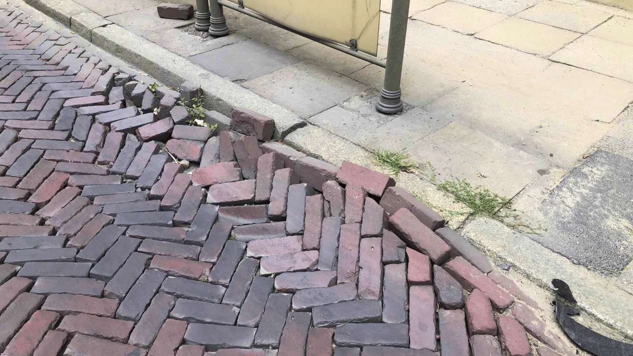 Ważne ulice w centrum Łodzi zostaną rozkopane. Pierwsze prace zaczną się jeszcze w wakacje [ZDJĘCIA] - Zdjęcie główne