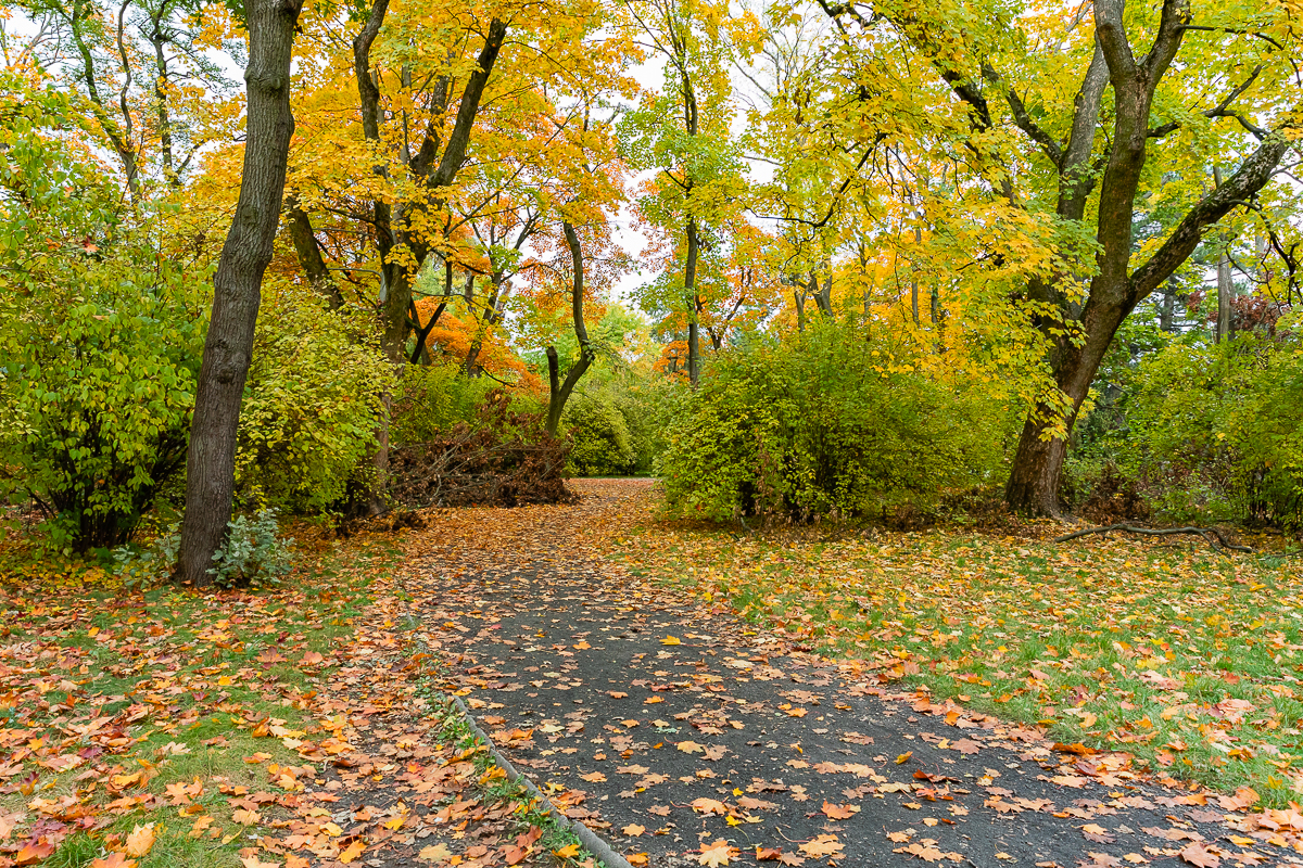 Park Poniatowskiego w Łodzi zachwycił nas jesienią. 