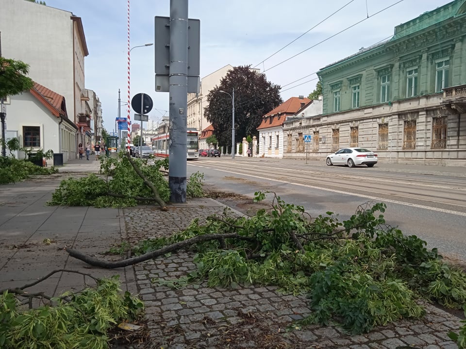 Burze Łódź. Najbardziej ucierpiała miejska zieleń. Skutki burzy widać na ul. Piotrkowskiej (fot. Czytelnik)