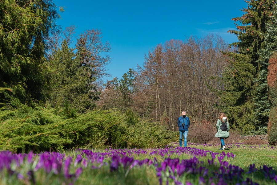 Ogród Botaniczny w Łodzi znowu otwarty  (fot. Michał Pietrzak - TuLodz.pl) |wiadomości łódzkie|łódź|TuŁódź