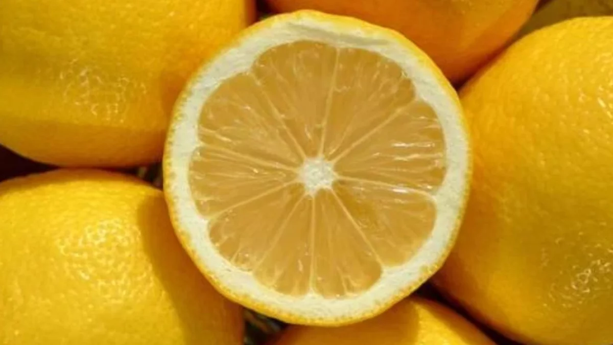 Gotowanie skórek cytryny z imbirem w domu. Dlaczego jest to zalecane i na co pomaga?