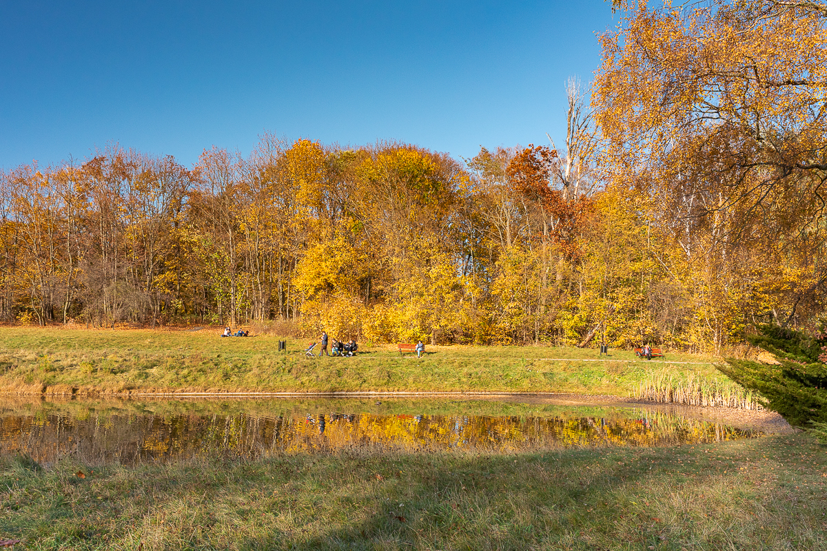 Łódzki park na Zdrowiu zachwyca jesienią