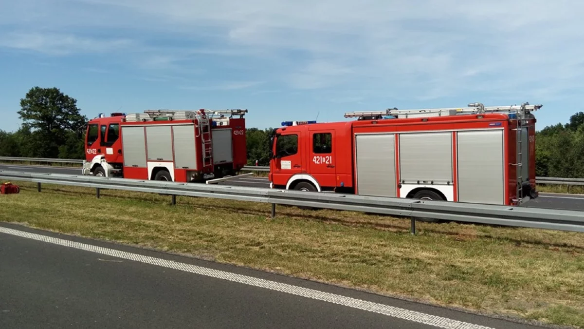 Wypadek na drodze ekspresowej S14 pod Łodzią. Na miejscu wszystkie służby - Zdjęcie główne