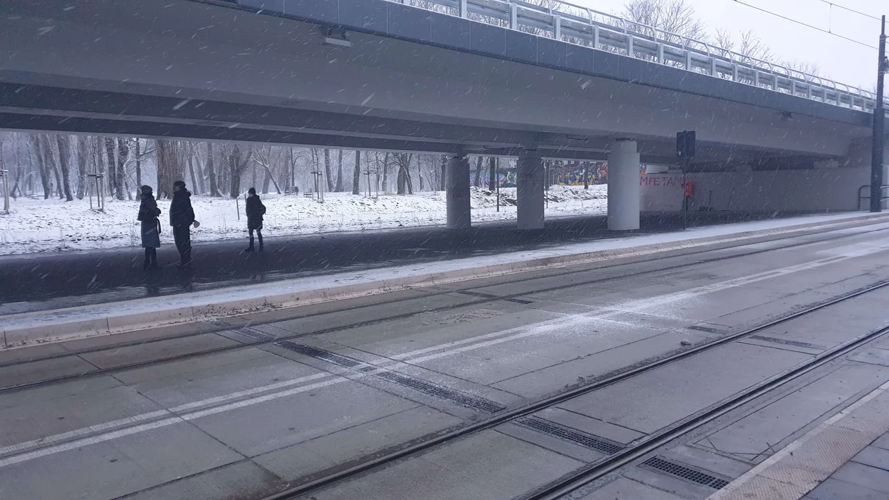 Pasażerowie mogą czuć się pominięci. Przystanek jest kompletnie niedoposażony