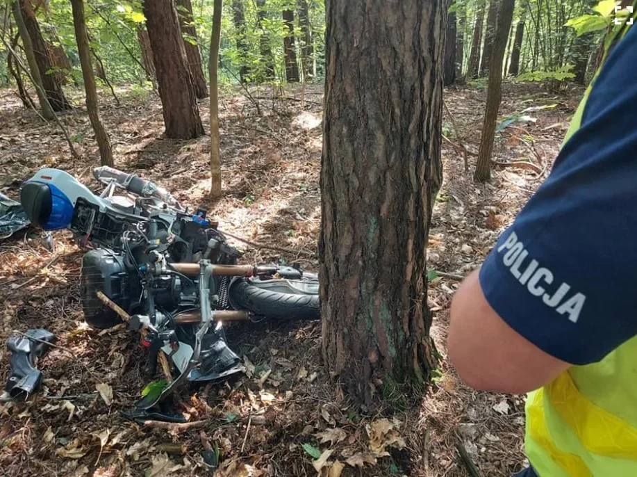 Czarna seria na drogach w Łódzkiem. Policja podsumowuje długi weekend - Zdjęcie główne