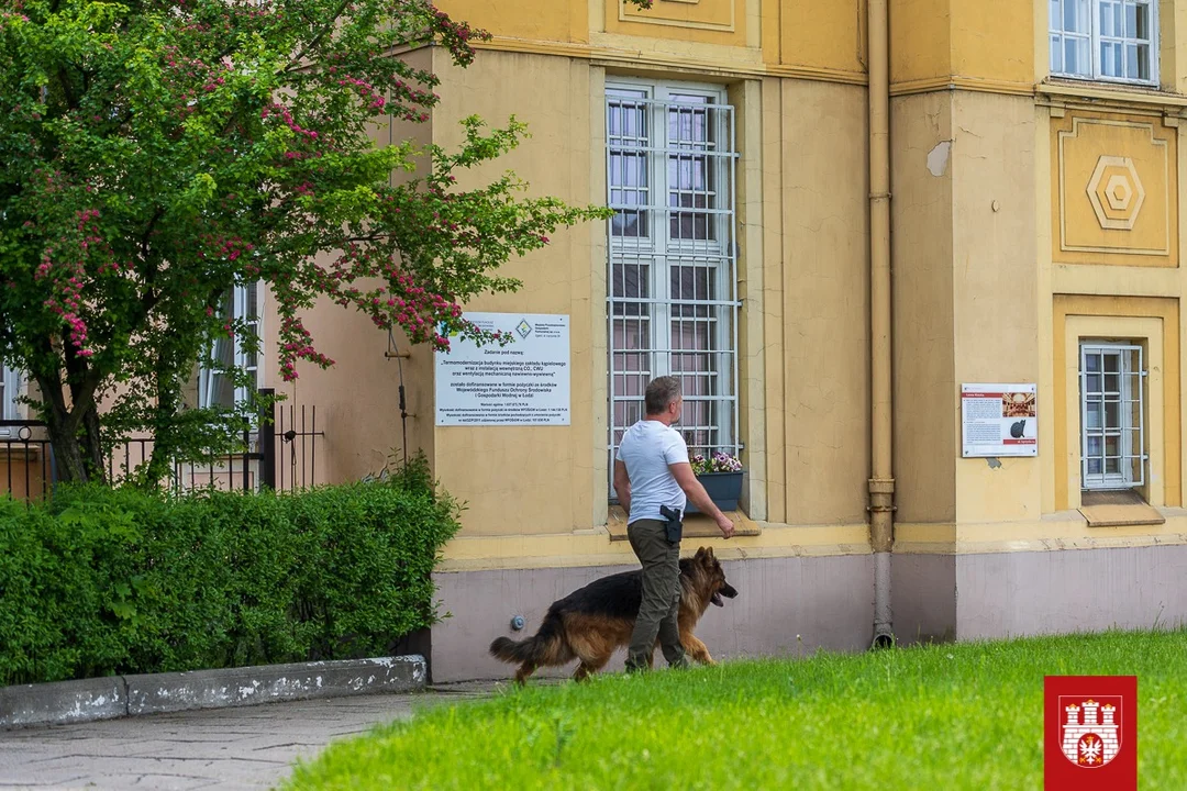 Komisarz Alex ponownie odwiedził nasz region. Gdzie kręcono nowe odcinki? - Zdjęcie główne