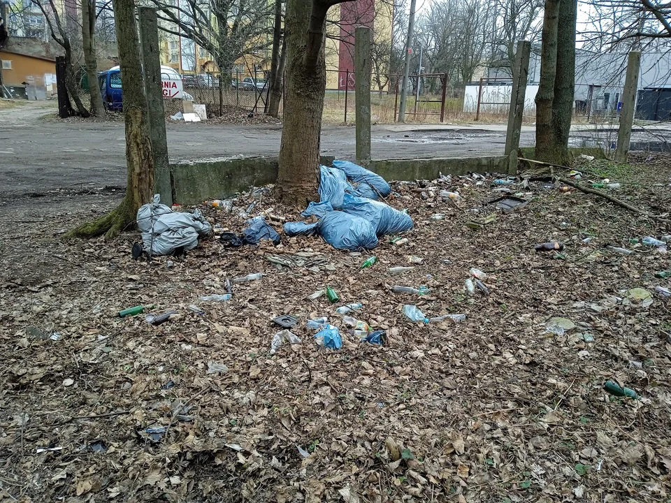 Aktualne śmieci znajdujące się na opisywanym przeze mnie terenie