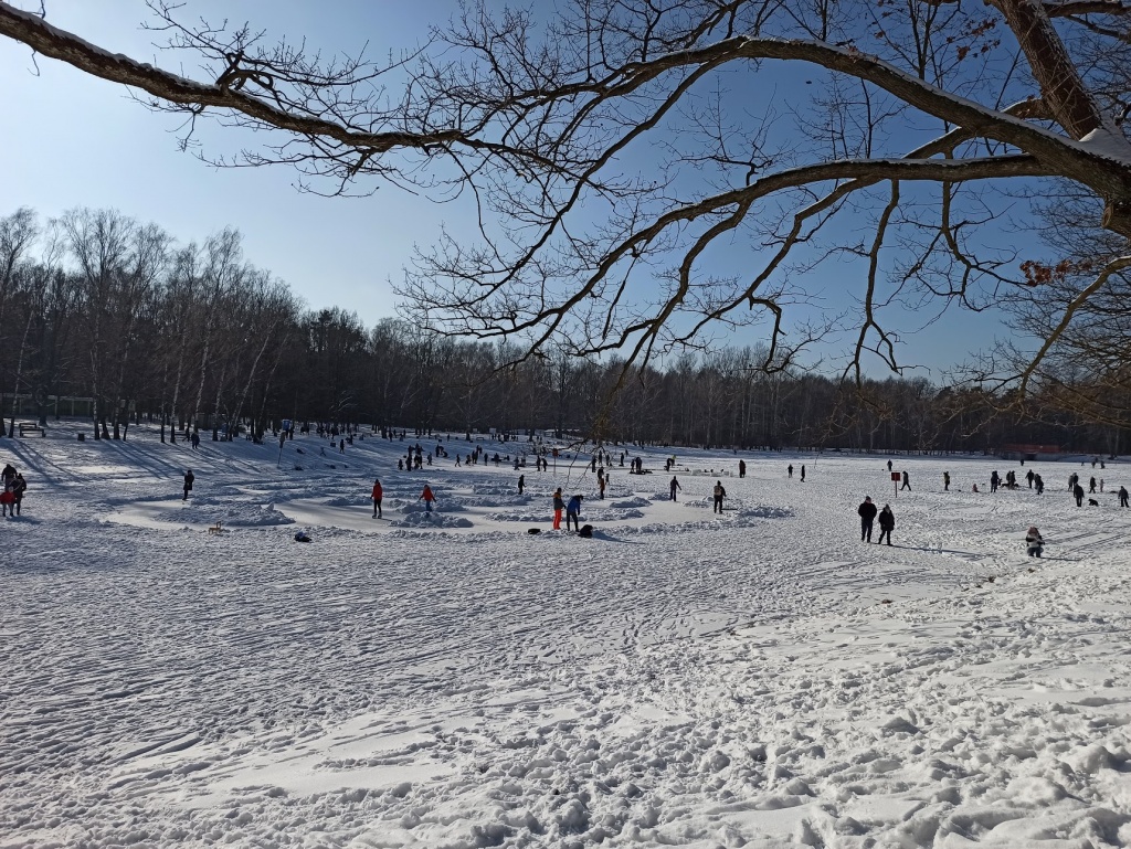 Zimowe aktywności łodzian w parkach w Łodzi. Tłumy korzystają z uroków zimy (fot. TuŁódź.pl)