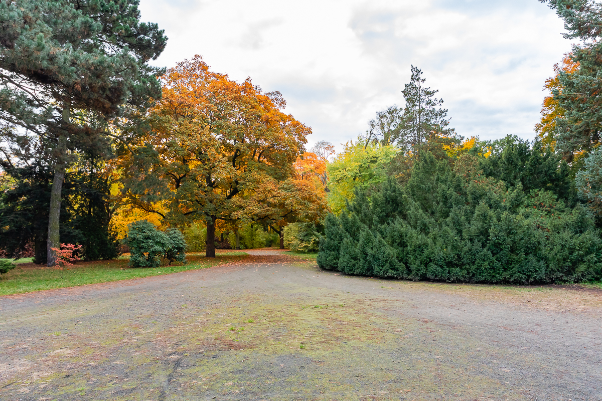 Park Poniatowskiego w Łodzi zachwycił nas jesienią. 