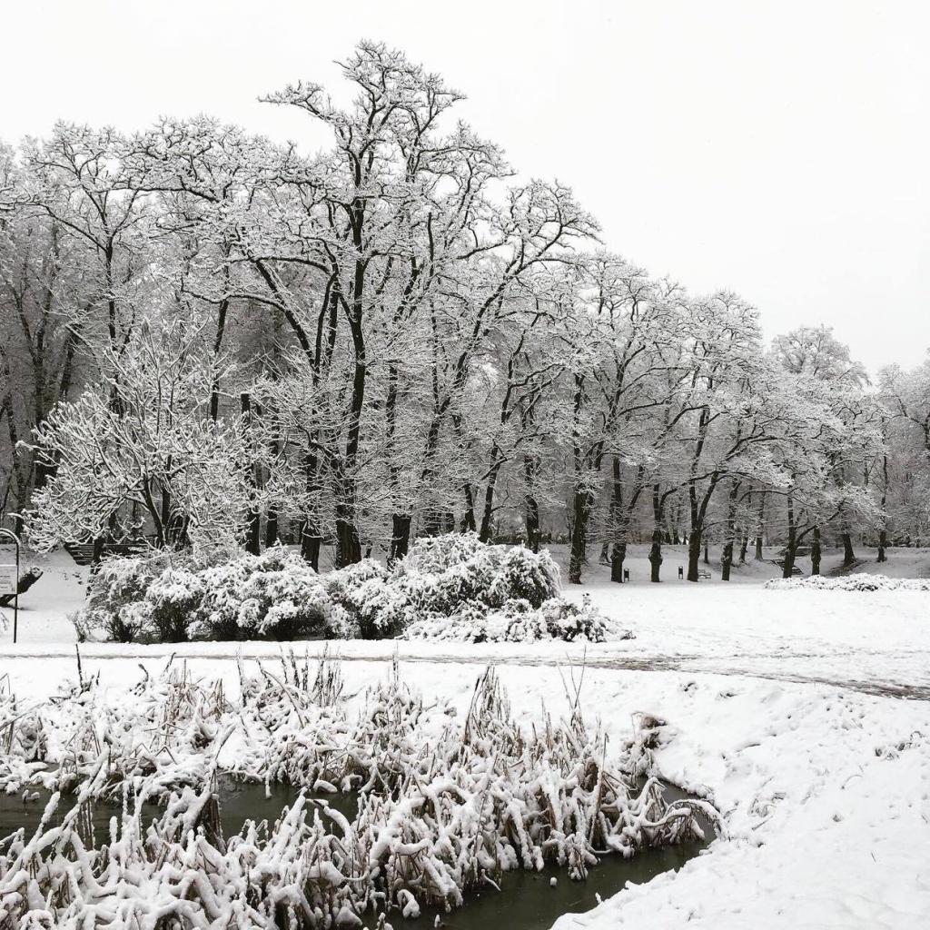 Kontynuujemy cykl TuŁódź - Szalone miasto. Tym razem opowiadamy o Parku Helenów. (fot. Patrycja Chuszcz) |wiadomości łódzkie|Łódź|TuŁódź