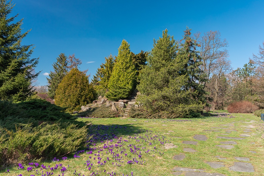 Ogród Botaniczny w Łodzi znowu otwarty  (fot. Michał Pietrzak - TuLodz.pl) |wiadomości łódzkie|łódź|TuŁódź