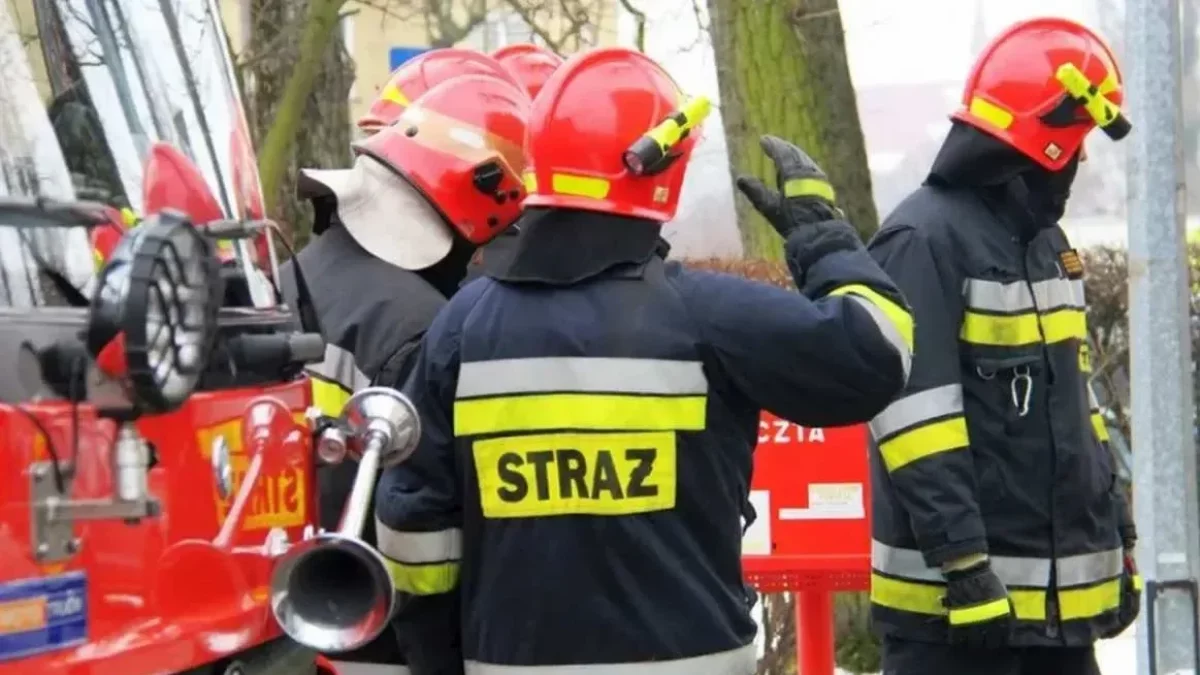 Pożar w budynku dawnej szkoły w Łodzi. Na miejscu służby - Zdjęcie główne