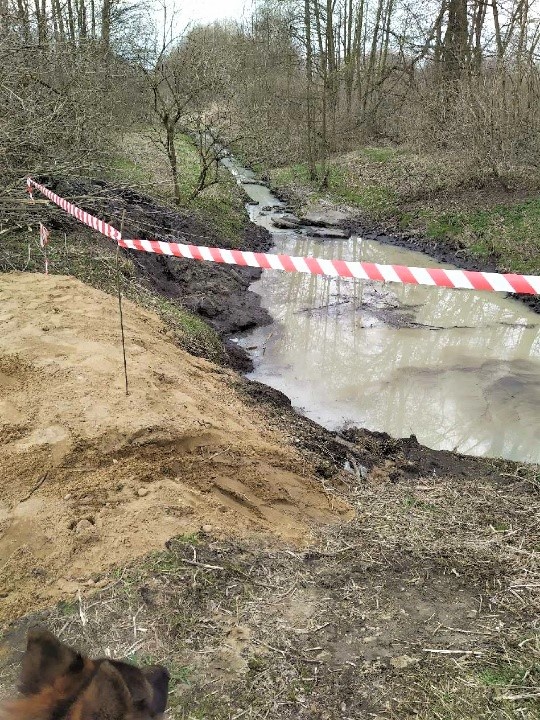 Ścieki w Olechówce w Łodzi. Interweniowali pracownicy ZWiK [zdjęcia] - Zdjęcie główne