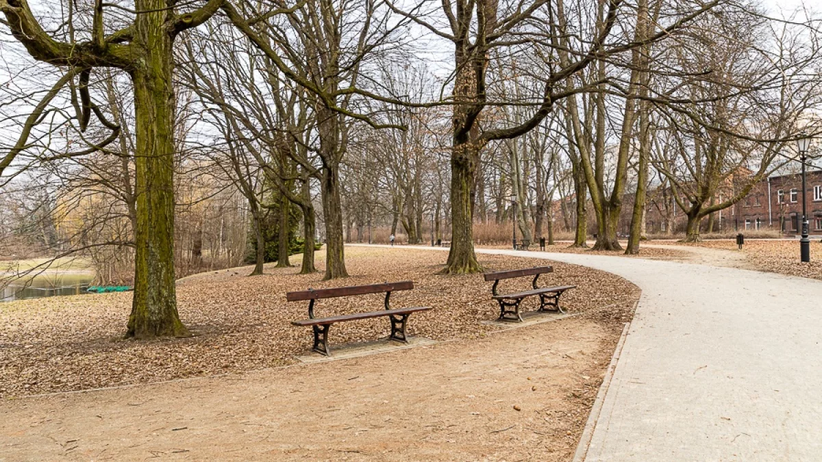 Łódzcy radni zdecydowali. W parkach nie będzie można odpalać fajerwerków - Zdjęcie główne