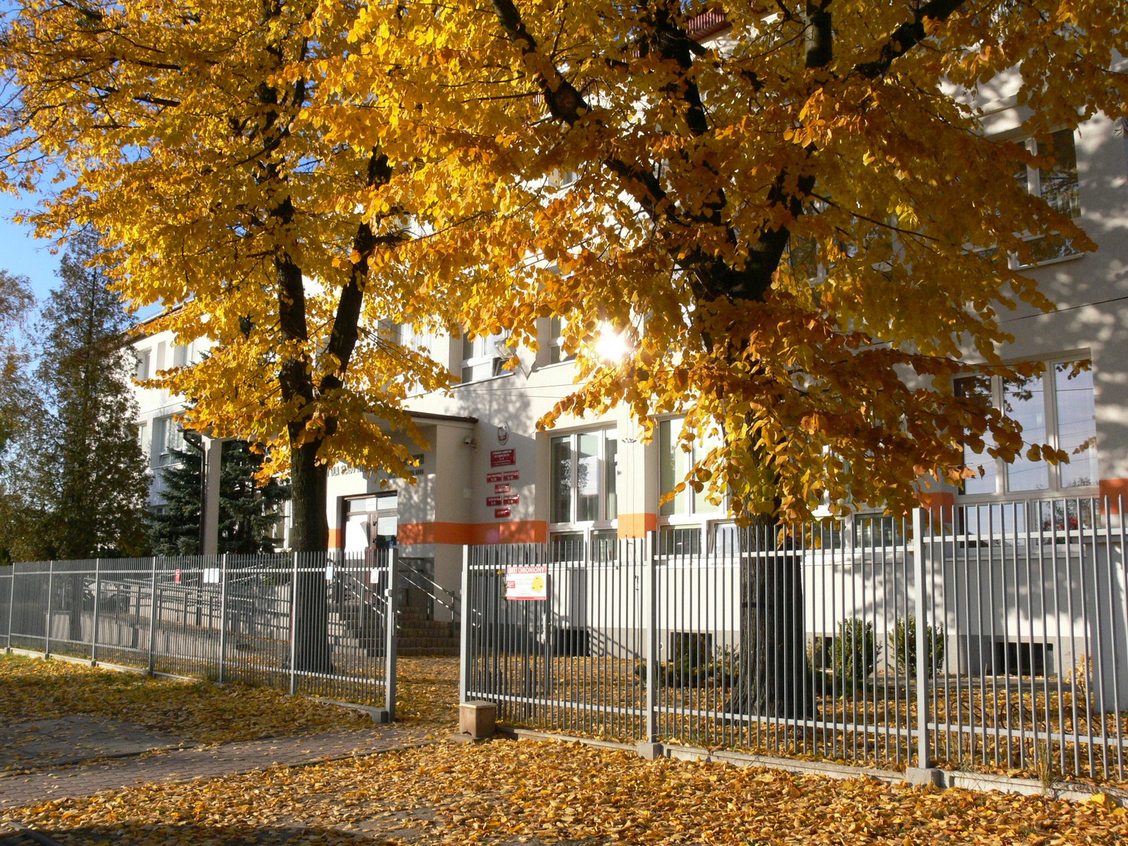 Specjalny Ośrodek Szkolno-Wychowawczy nr 6