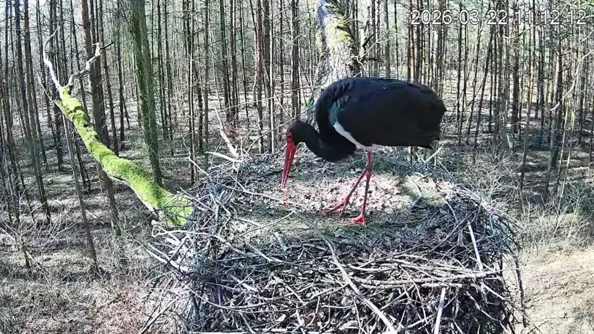 Ta para podbiła Internet! Śledzą ją tysiące fanów. Właśnie ruszył nowy sezon! [FOTO]