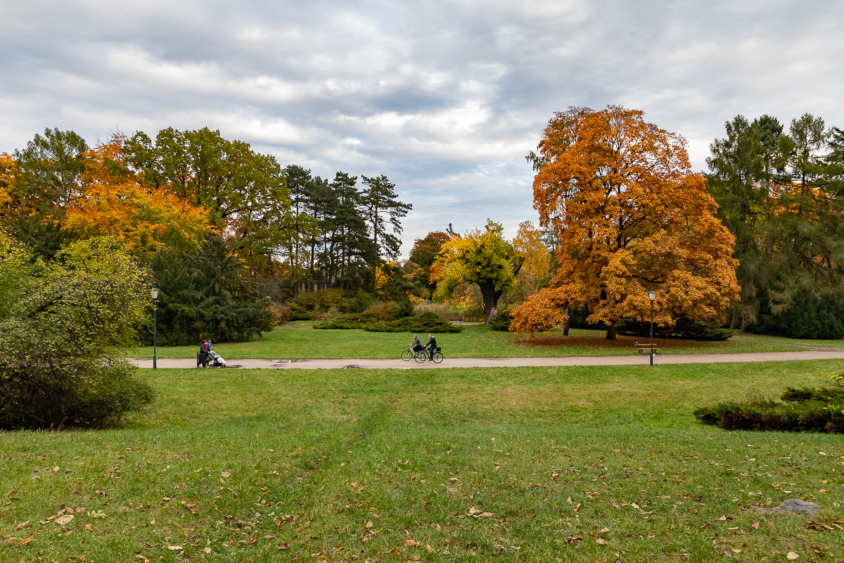 O jakiej porze roku park Poniatowskiego jest najpiękniejszy? Nas zachwycił jesienią [galeria]  - Zdjęcie główne