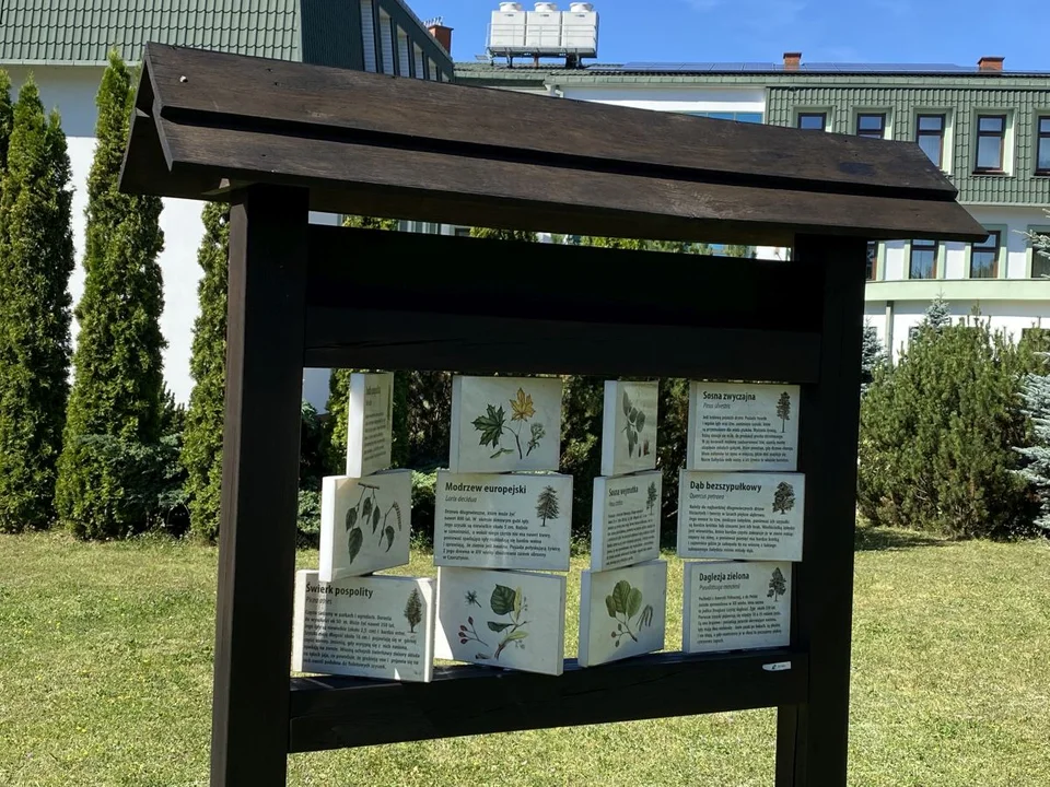 Kolejna część serii "Niemapa" poświęcona jest lasom województwa łódzkiego