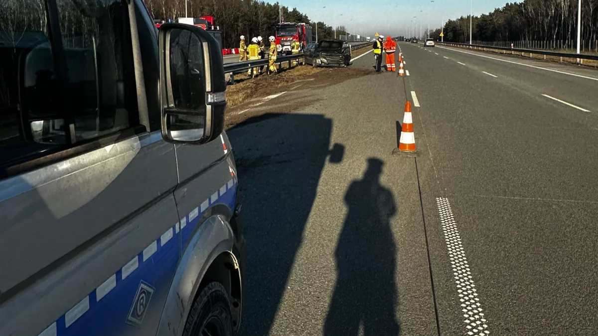 Wypadek na A1. Renault zakończył jazdę na barierach [ZDJĘCIE] - Zdjęcie główne