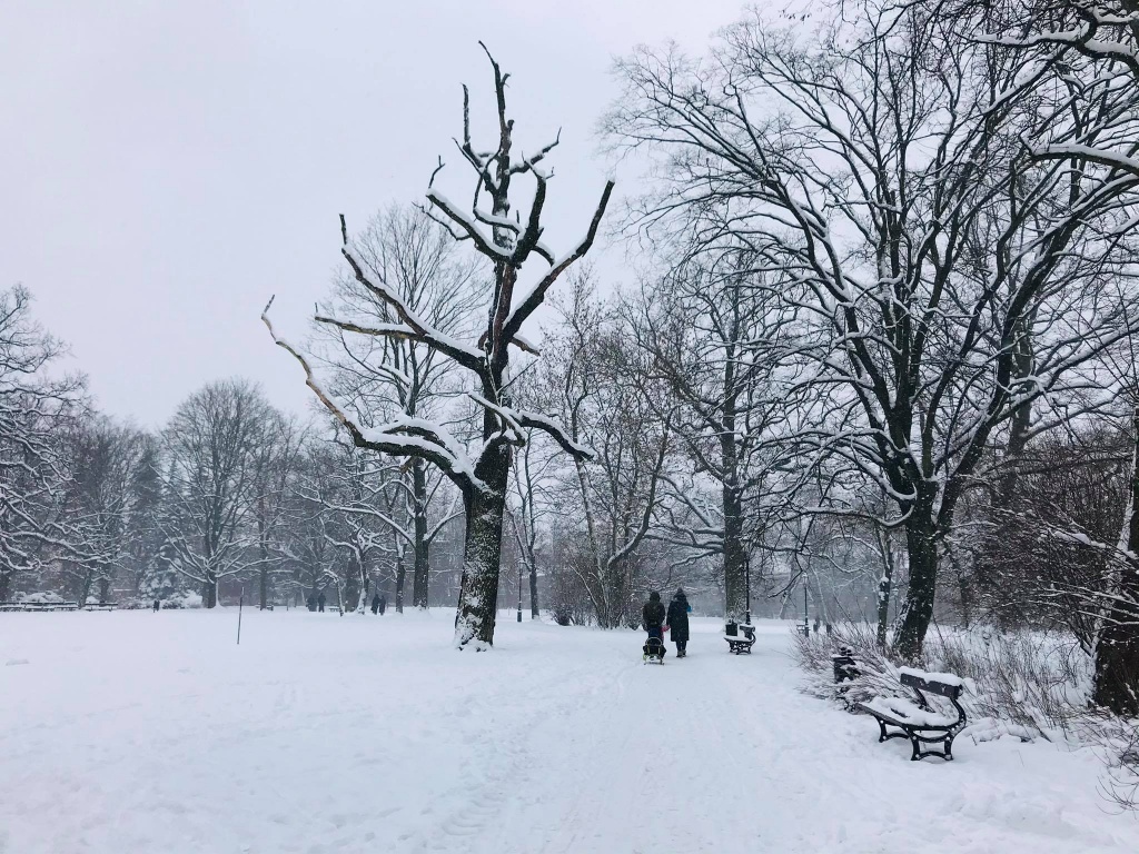 Łódzkie ośnieżone parki zachwycają spacerujących. Zima w mieście ma swoje uroki! (fot. Aga Szynk) |wiadomości łódzkie|Łódź|TuŁódź