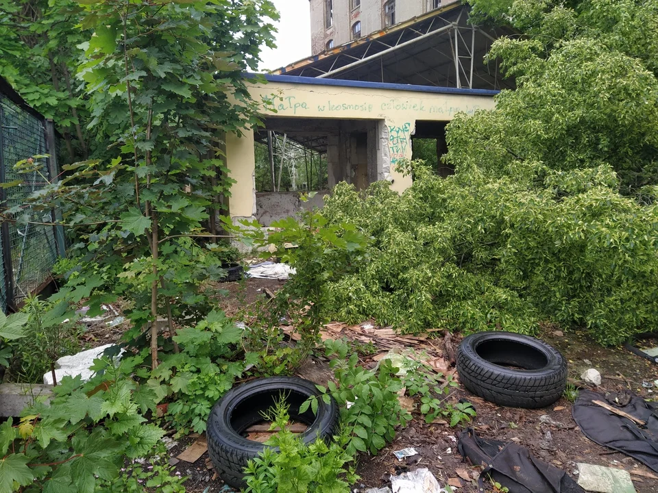 Zabytkowa fabryka Adama Ossera czy w wysypisko śmieci? [zdjęcia]