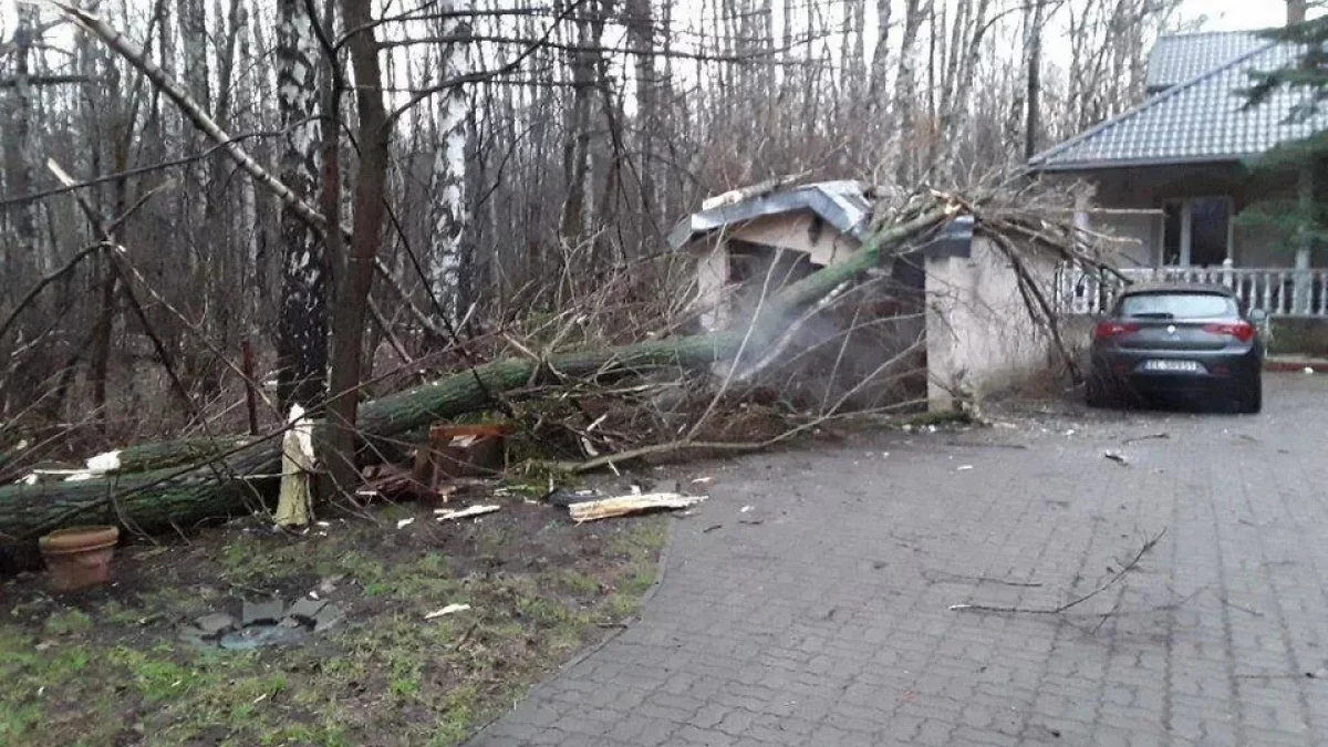 Pogoda nie rozpieszcza mieszkańców województwa łódzkiego. Strażacy interweniowali blisko 100 razy - Zdjęcie główne