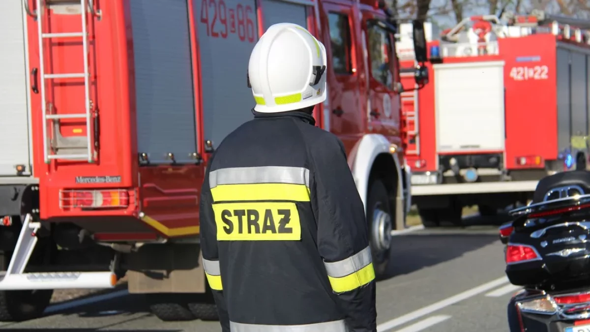 Pożar samochodu w centrum Łodzi. Na miejscu służby - Zdjęcie główne