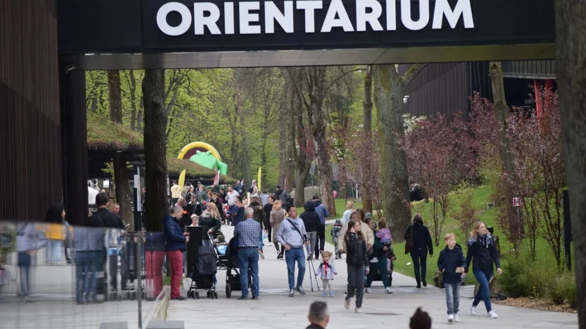 Orientarium Zoo Łódź zaprasza na dni otwarte... salonu samochodowego. "Co to ma niby być?" - Zdjęcie główne