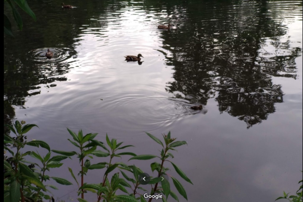 Rzeka Brzoza w Łodzi (fot. Google Maps) |wiadomości łódzkie|Łódź|TuŁódź