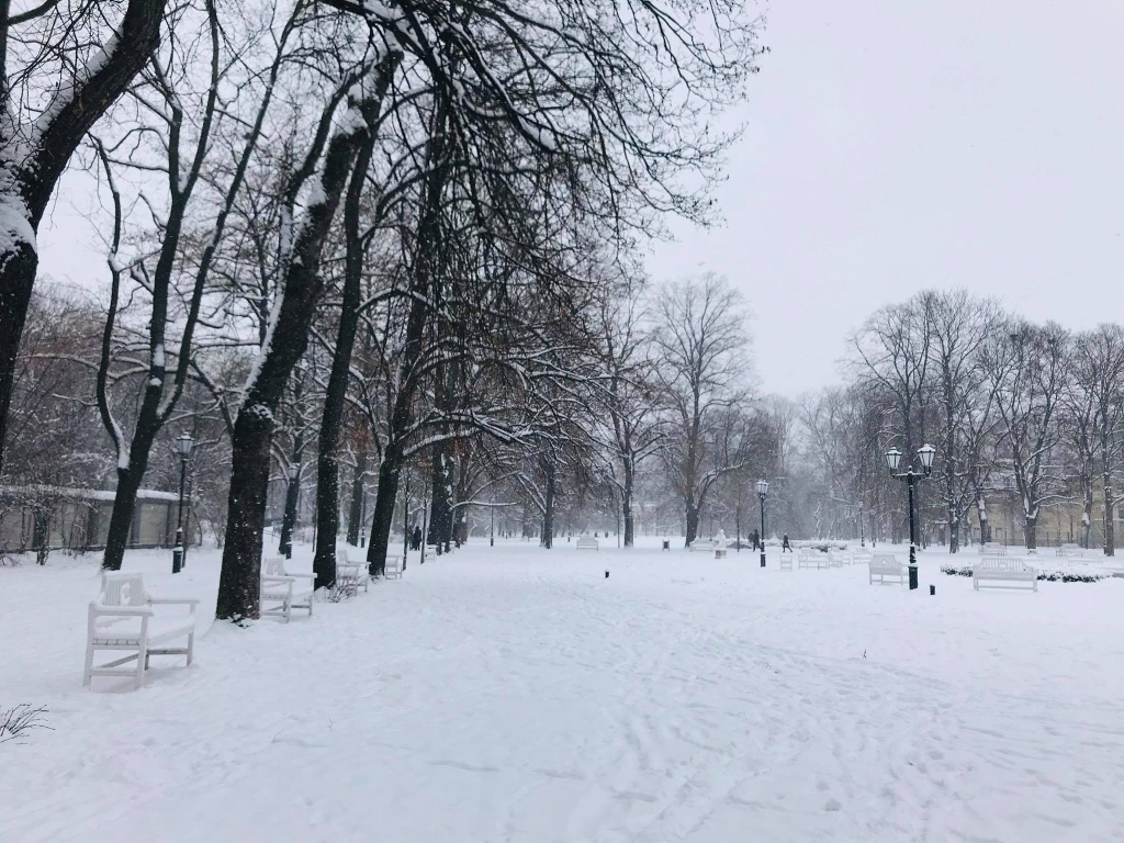 Łódzkie ośnieżone parki zachwycają spacerujących. Zima w mieście ma swoje uroki! (fot. Aga Szynk) |wiadomości łódzkie|Łódź|TuŁódź