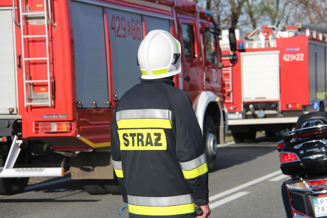 Pożar przy Piotrkowskiej w Łodzi. W akcji 11 zastępów straży pożarnej - Zdjęcie główne