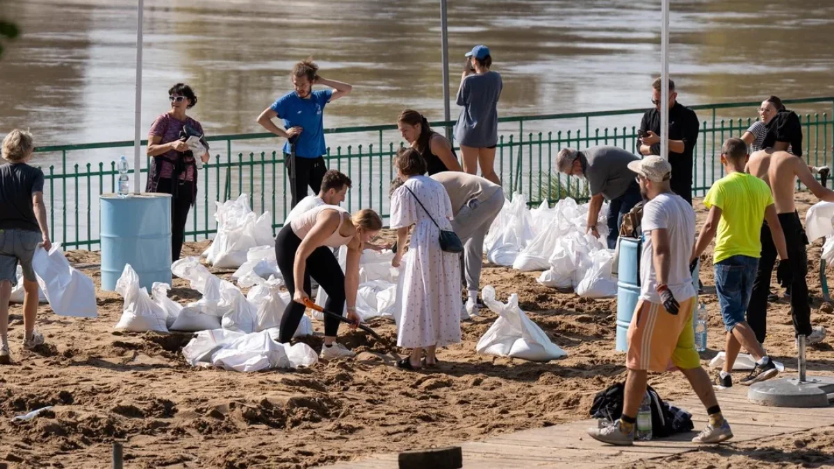 Dramatyczna walka o zoo we Wrocławiu. To do Łodzi mogą trafić zwierzęta. "Czekamy na rozwój wydarzeń" - Zdjęcie główne