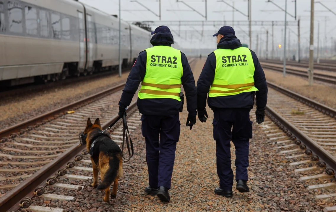 Ochroniarz pociągu PKP Intercity miał prawie 1,5 promila alkoholu. Teraz może mieć spore kłopoty - Zdjęcie główne