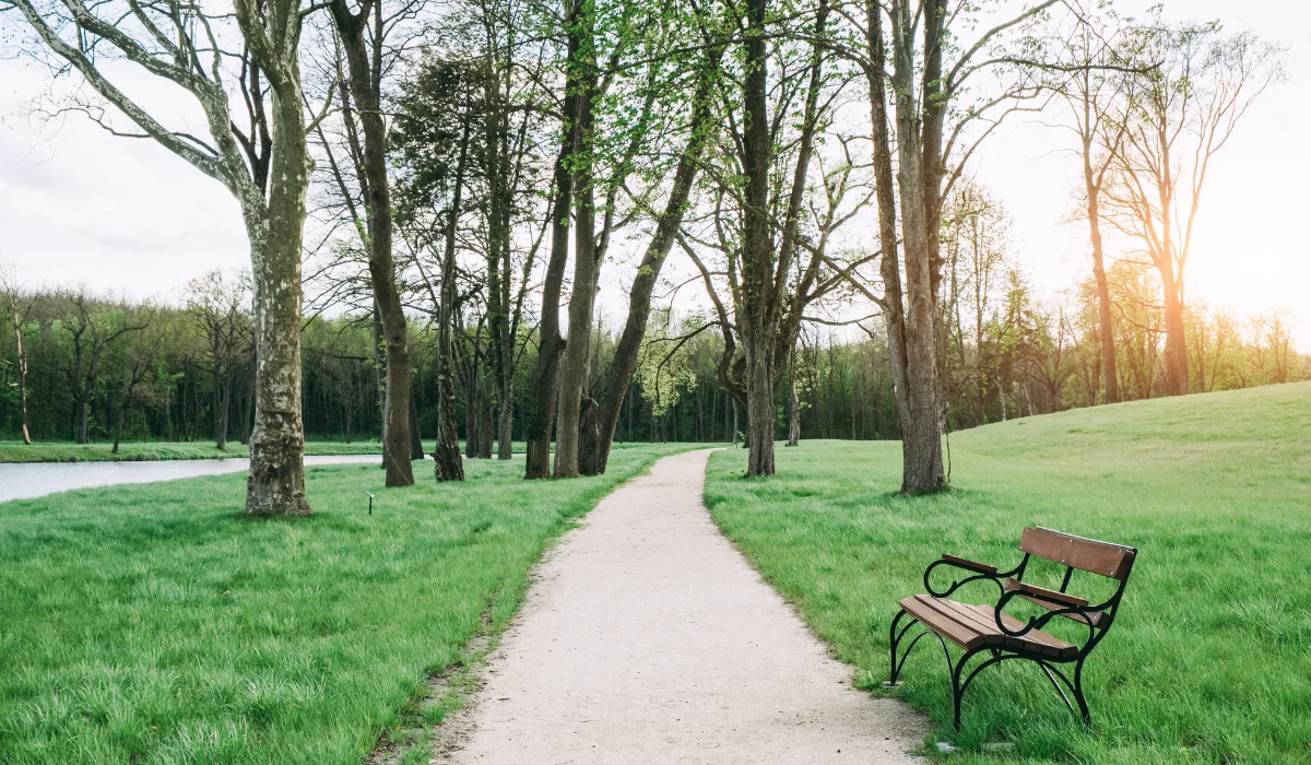 Nowy park w Łodzi! Powstanie strefa rekreacji i plac zabaw  - Zdjęcie główne