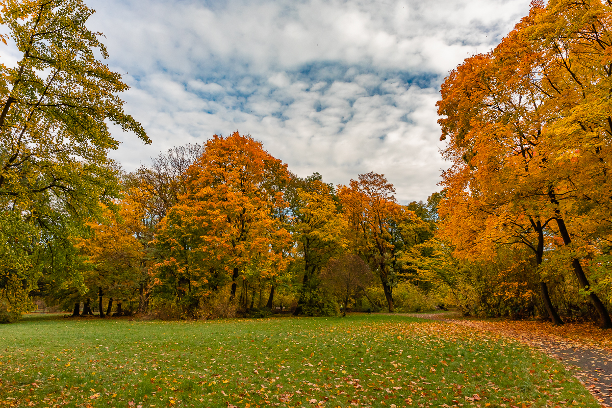 Park Poniatowskiego w Łodzi zachwycił nas jesienią. 