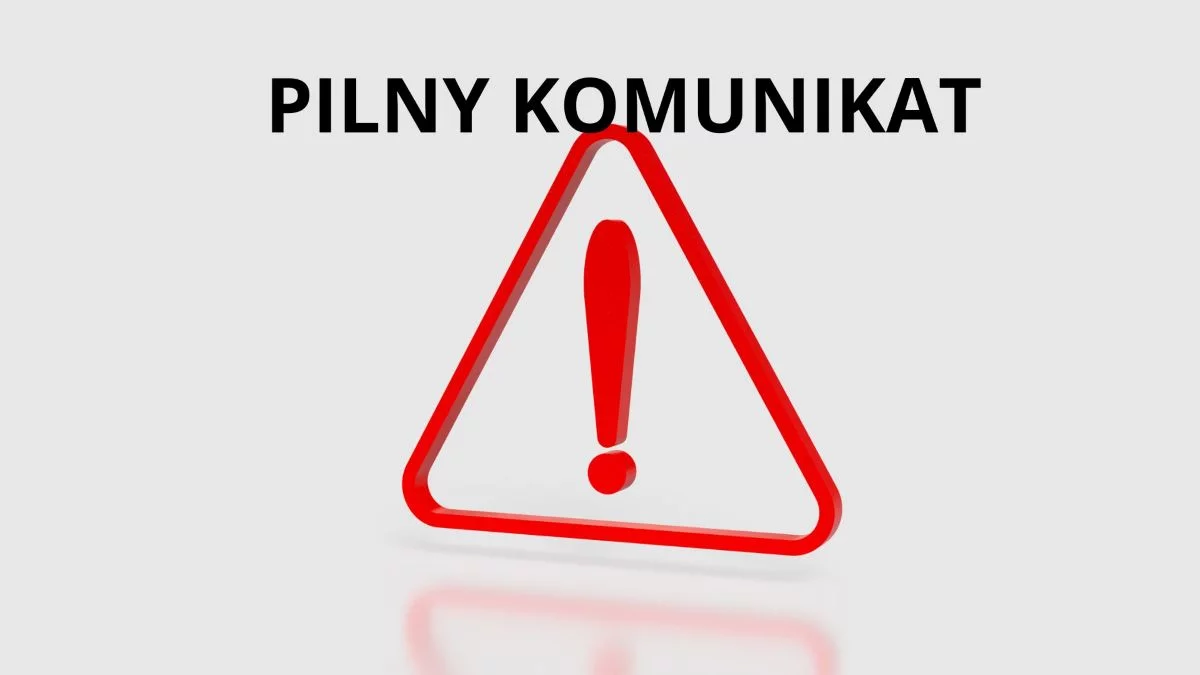 Drapieżnik z Australii krąży po Łódzkiem. Trwa akcja poszukiwawcza