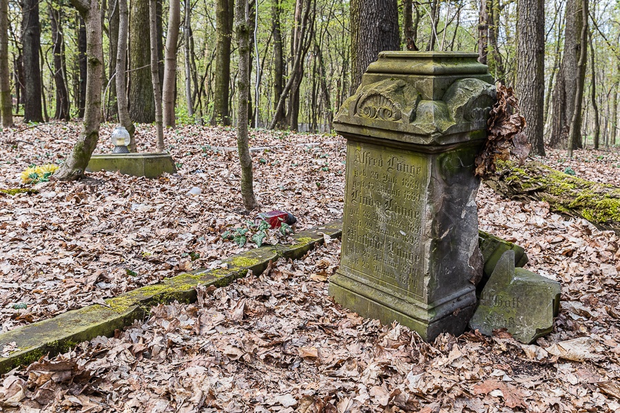 Cmentarz na Żabieńcu Łódź. O tych ludziach nikt nie pamięta. "Mój tata razem z klasą porządkował te groby w dzieciństwie" [zdjęcia] - Zdjęcie główne