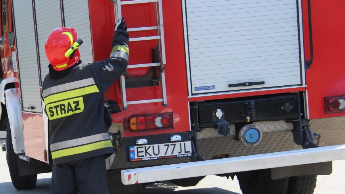 Pożar na Widzewie w Łodzi. Konieczna była ewakuacja - Zdjęcie główne