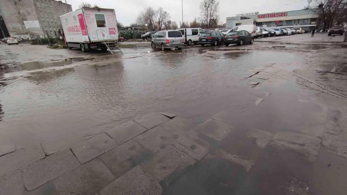 W okolicy targowiska na Górniaku pojawi się więcej zieleni. Tak zdecydowali mieszkańcy - Zdjęcie główne