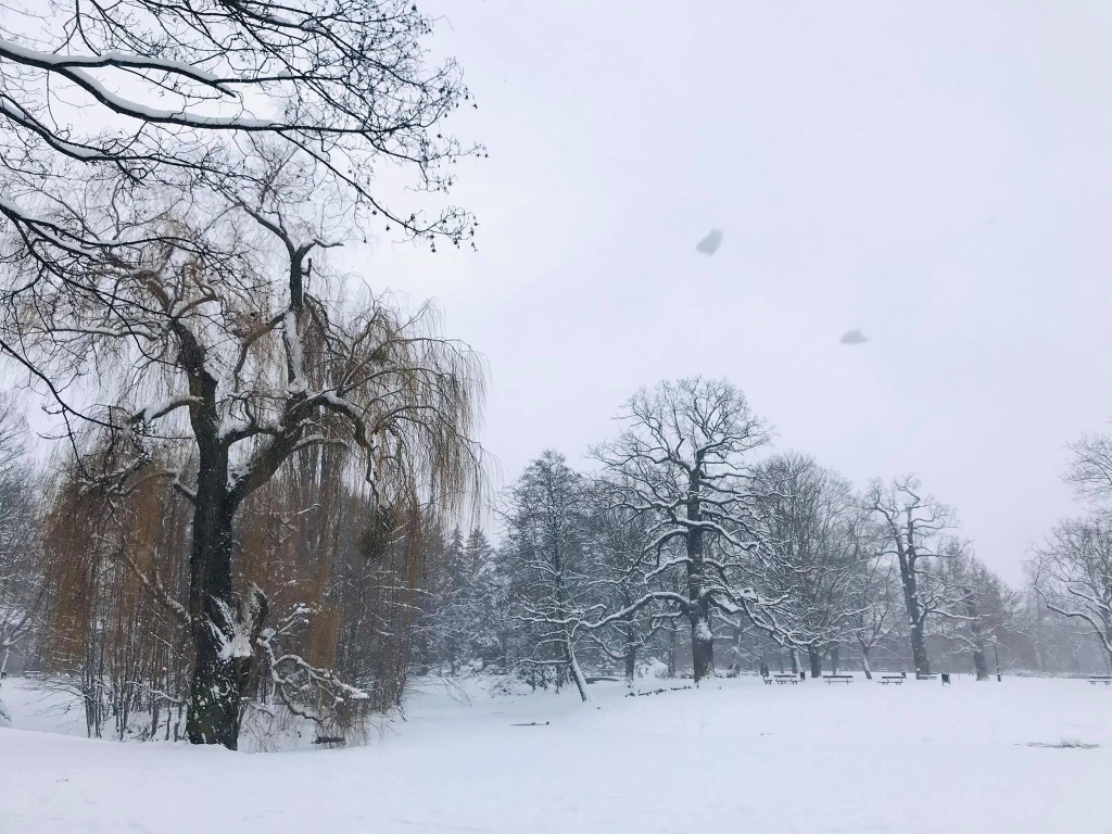 Łódzkie ośnieżone parki zachwycają spacerujących. Zima w mieście ma swoje uroki! (fot. Aga Szynk) |wiadomości łódzkie|Łódź|TuŁódź