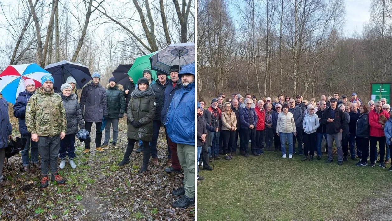 Łódź. Na Złotnie i Radogoszczu lasy idą pod topór. Mieszkańcy protestują - Zdjęcie główne