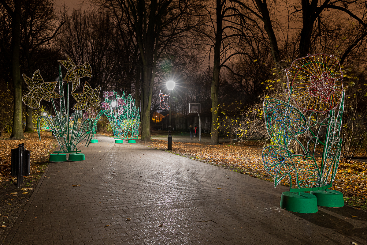 Park Źródliska w Łodzi nocą