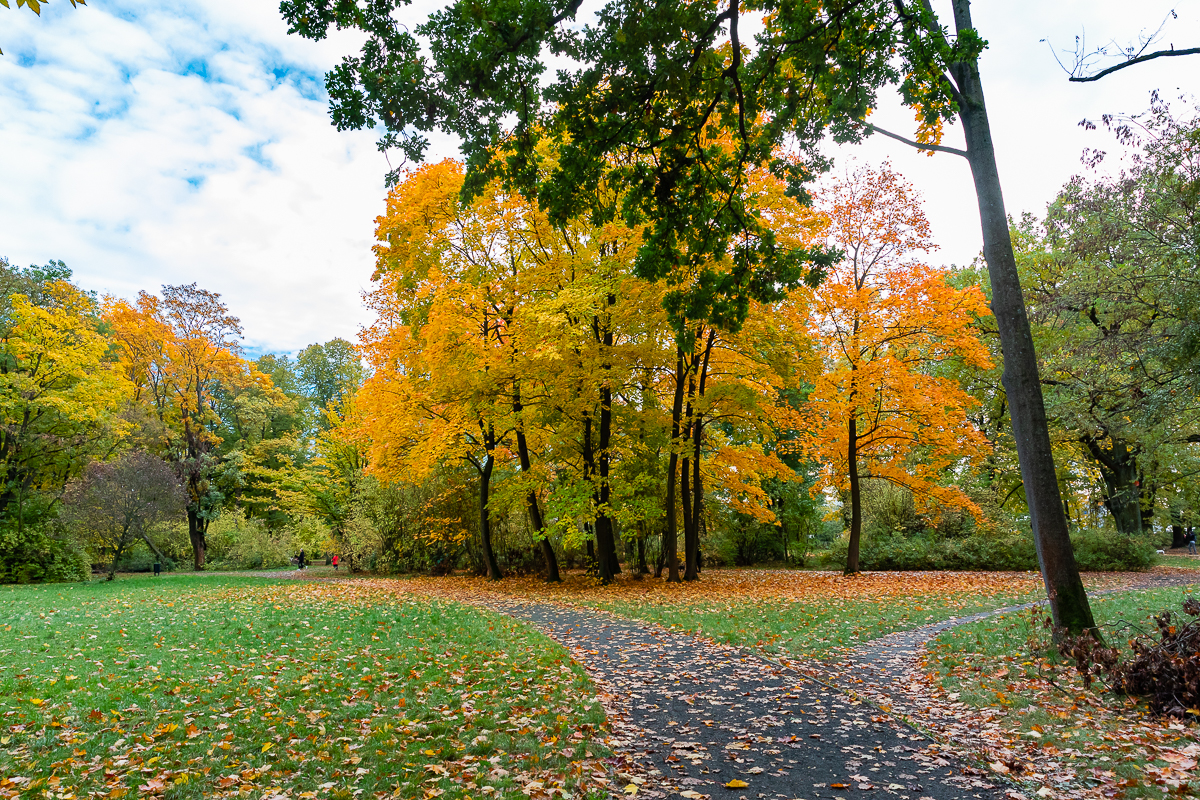 Park Poniatowskiego w Łodzi zachwycił nas jesienią. 