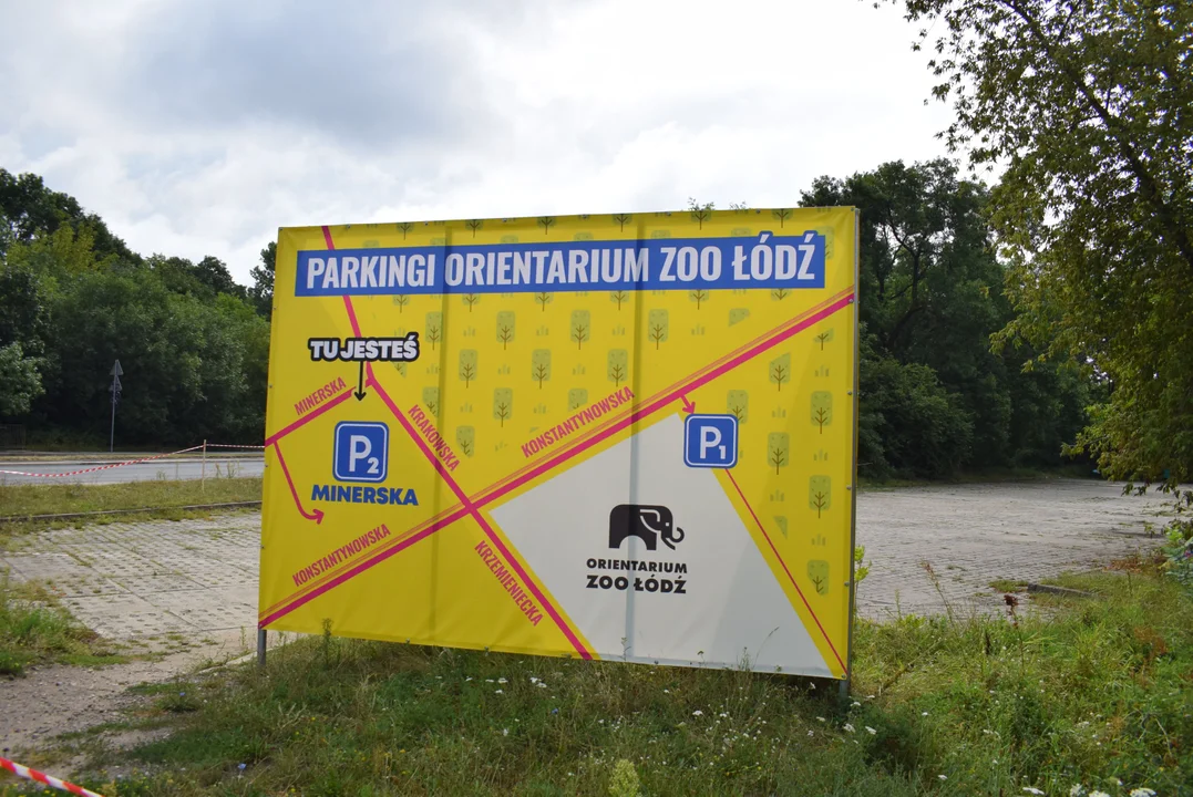 Brak miejsc parkingowych już przed południem. Gdzie szukać parkingu przy Orientarium ZOO Łódź? - Zdjęcie główne