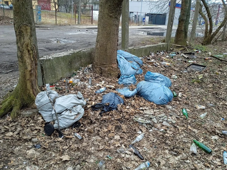 Aktualne śmieci znajdujące się na opisywanym przeze mnie terenie